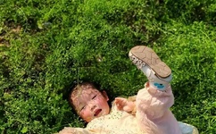 办公室里双飞燕最经典的三个角色